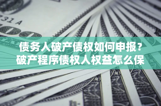 北京债务人破产债权如何申报？破产程序债权人权益怎么保障？