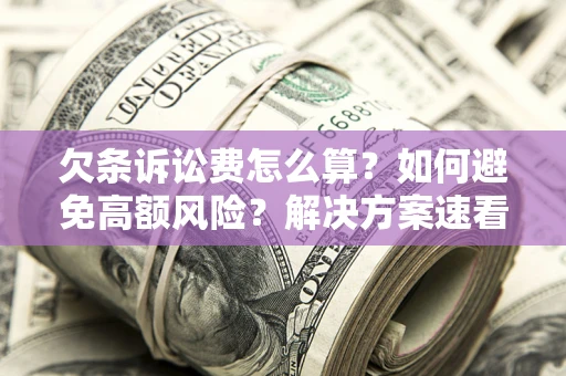 北京欠条诉讼费怎么算？如何避免高额风险？解决方案速看！