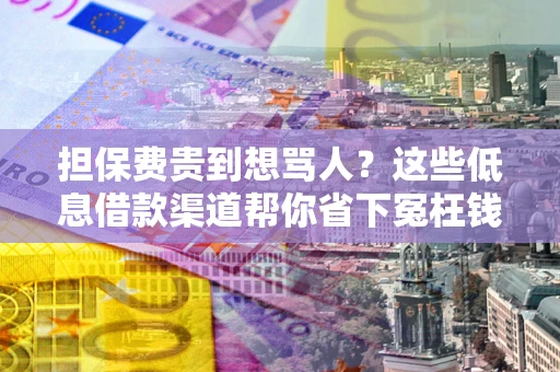 北京担保费贵到想骂人？这些低息借款渠道帮你省下冤枉钱