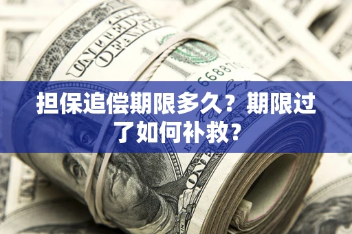 北京担保追偿期限多久？期限过了如何补救？