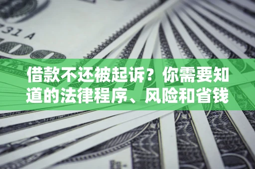 北京借款不还被起诉？你需要知道的法律程序、风险和省钱技巧