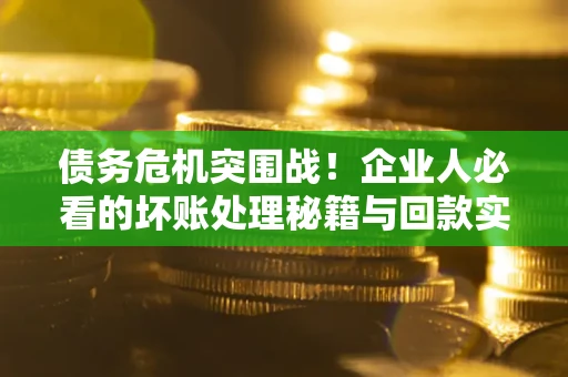 北京债务危机突围战！企业人必看的坏账处理秘籍与回款实战指南